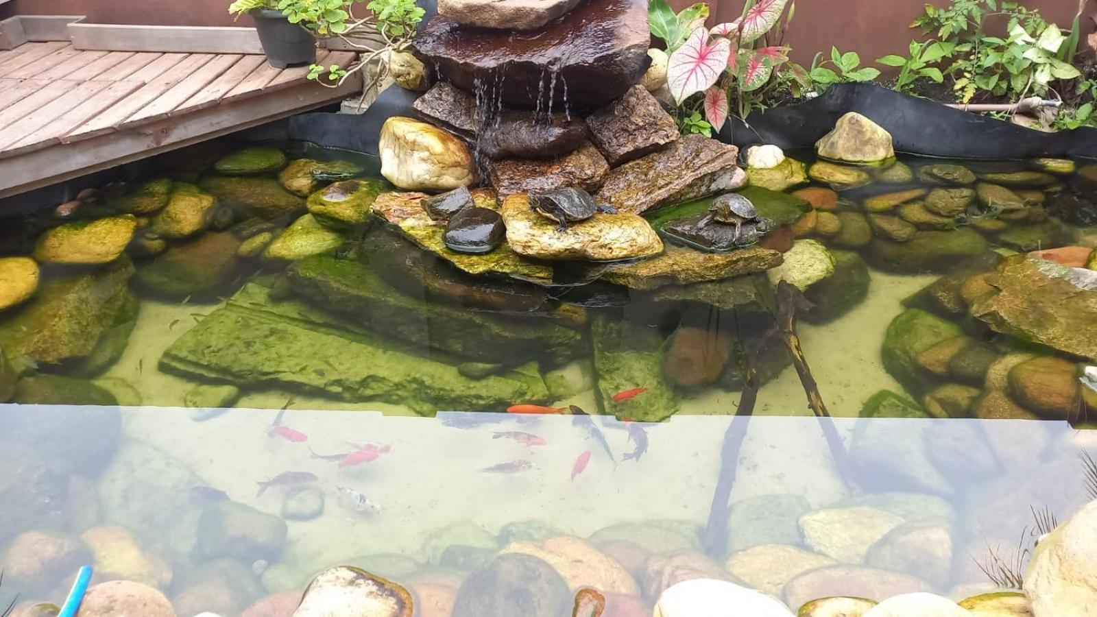 Vo Lica Com Piscina Penha (Santa Catarina)